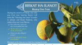 Birkat Ha-Ilanot: Blessing over trees