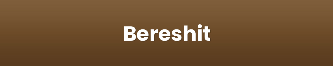 Bereshit