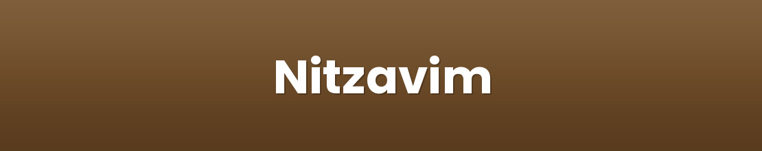 Nitzavim